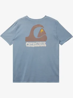 Mens Quiksilver Tees|Andy Y Andy T-Shirt