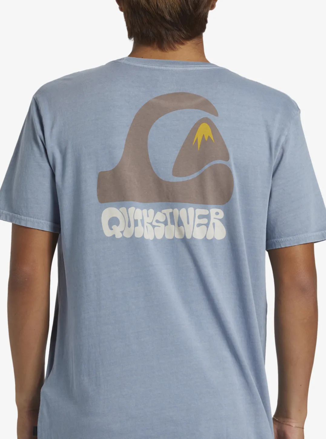 Mens Quiksilver Tees|Andy Y Andy T-Shirt