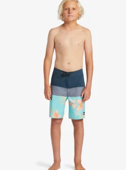 Boys Quiksilver Shorts|Boy'S 8-16 Everyday Panel 17