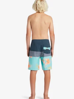 Boys Quiksilver Shorts|Boy'S 8-16 Everyday Panel 17