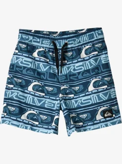 Mens Quiksilver Boardshorts|Boy'S 2-7 Next Gen 12" Volleys