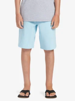 Boys Quiksilver Shorts|Boy'S 8-16 Ocean Elastic 18
