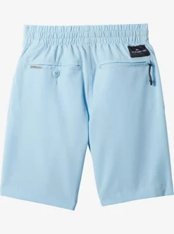 Boys Quiksilver Shorts|Boy'S 2-7 Ocean Elastic Waist 14" Amphibian Boardshorts