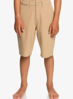 Boys Quiksilver Shorts|Boy'S 8-16 Union Amphibian 19