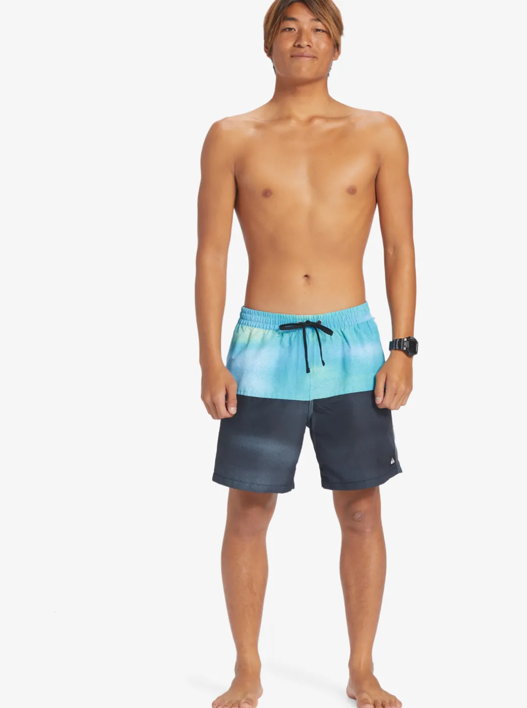 Mens Quiksilver Elastic Waist|Butt Logo 17" Volleys
