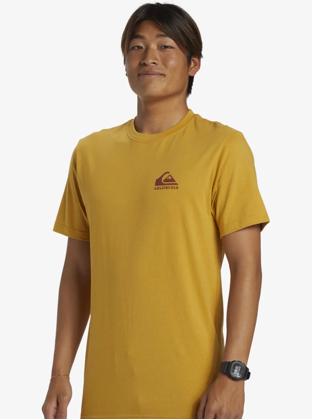 Mens Quiksilver Tees|Ca Point Breaks T-Shirt