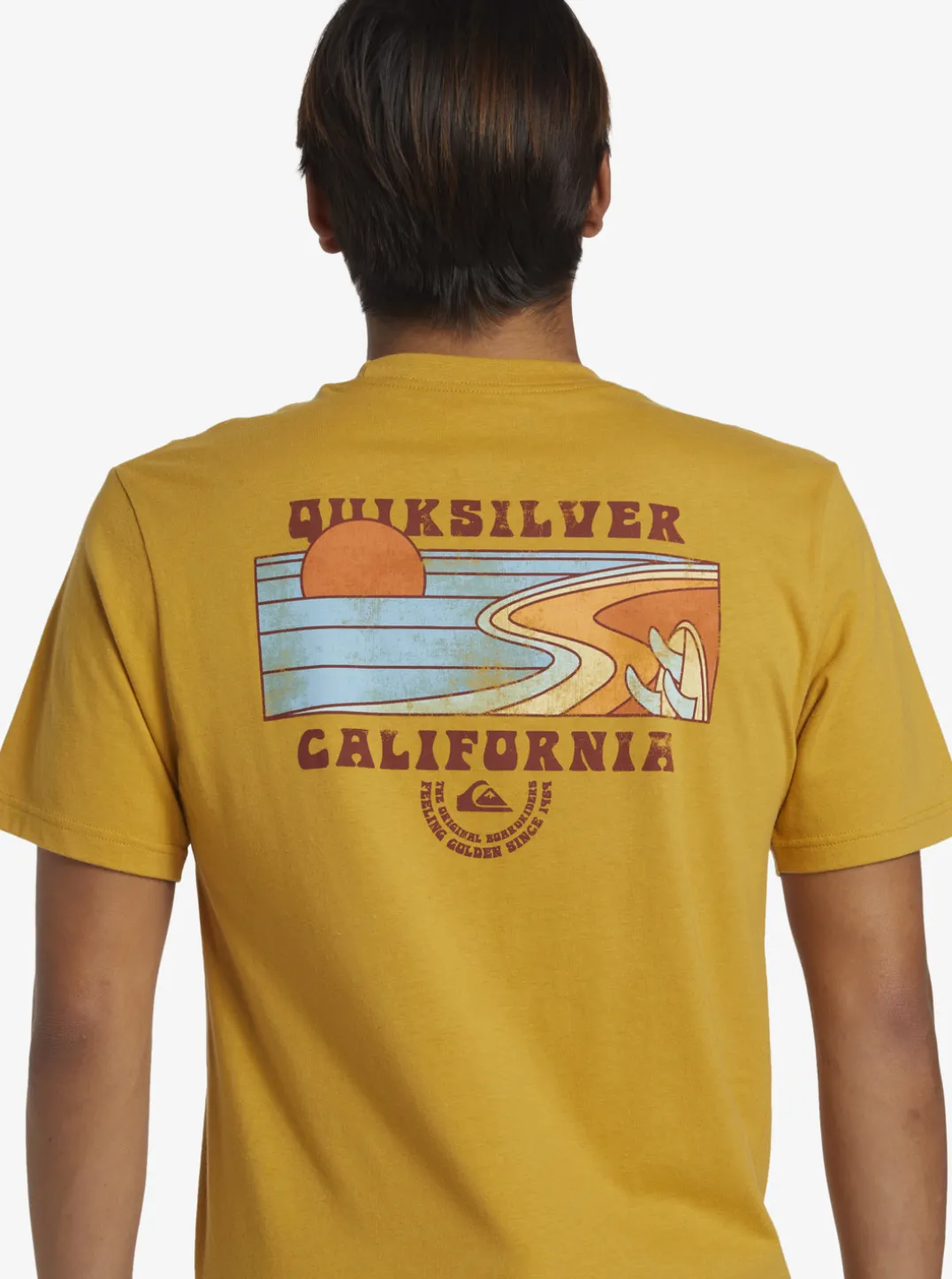Mens Quiksilver Tees|Ca Point Breaks T-Shirt