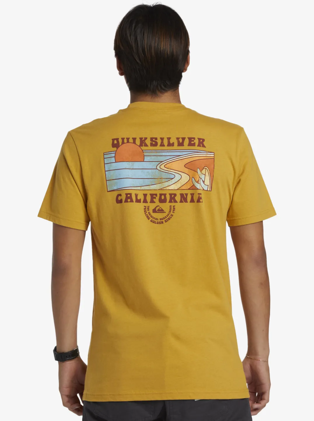 Mens Quiksilver Tees|Ca Point Breaks T-Shirt