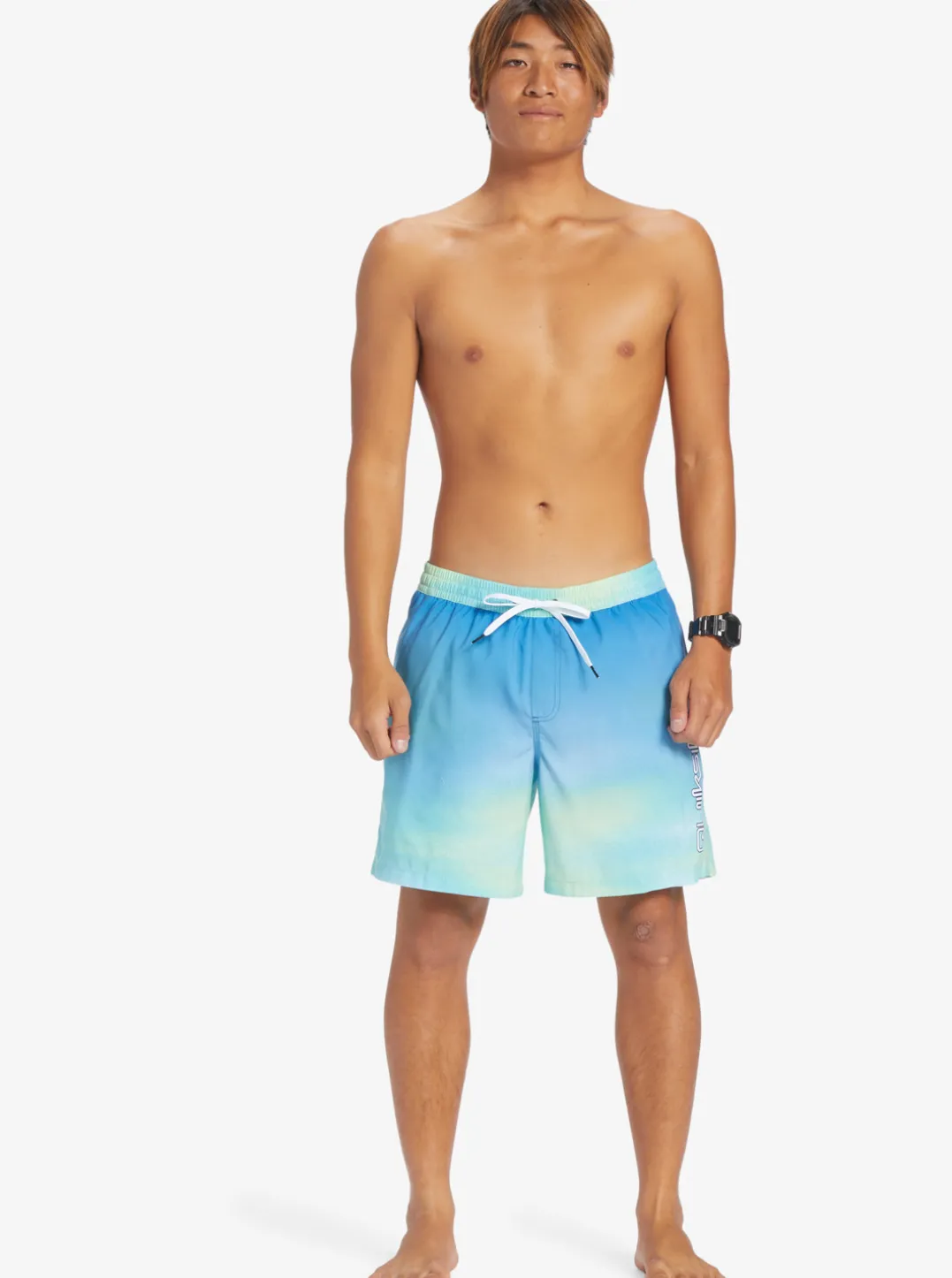 Mens Quiksilver Elastic Waist|Everyday Breeze 17" Volleys