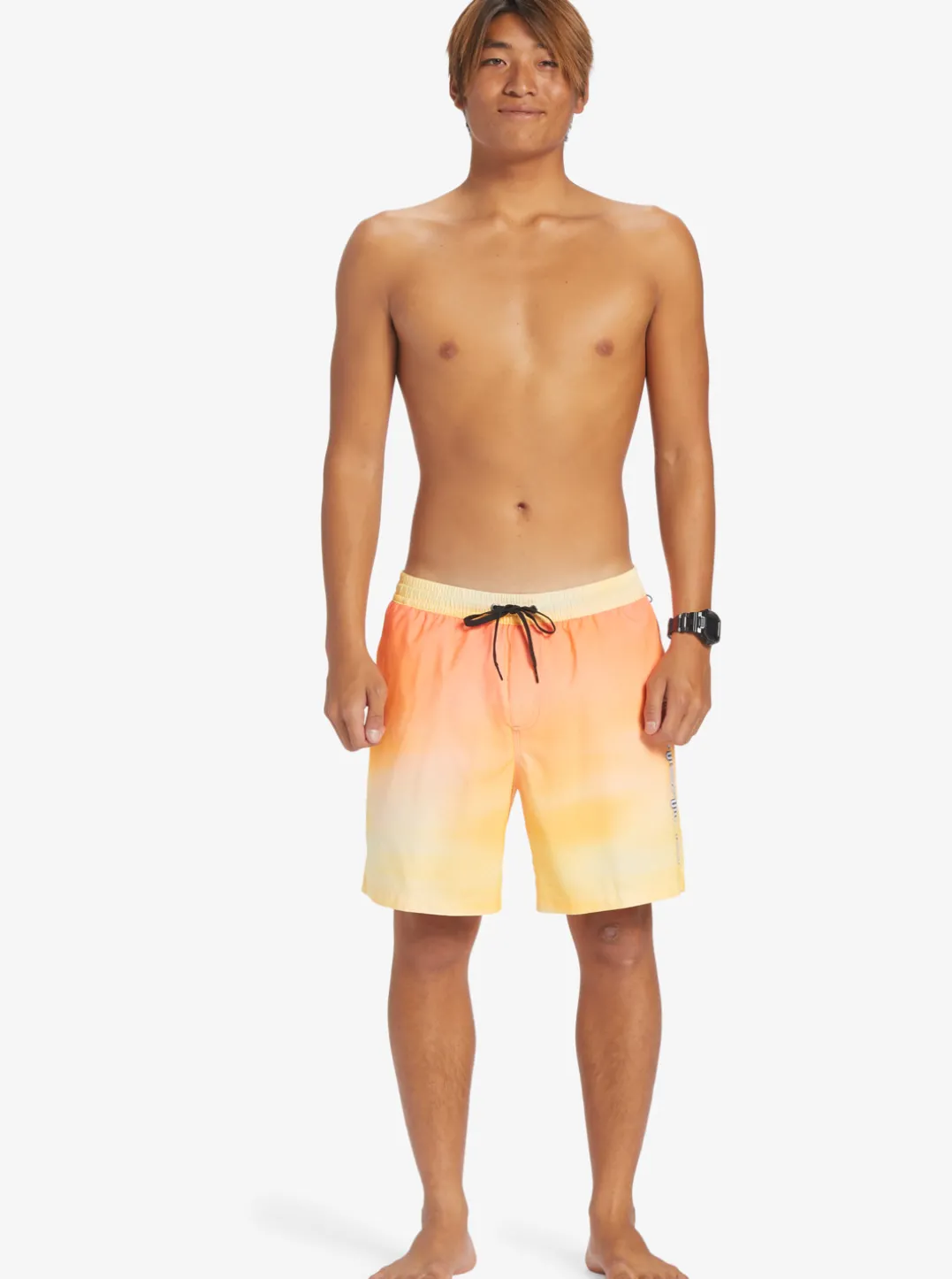 Mens Quiksilver Elastic Waist|Everyday Breeze 17" Volleys
