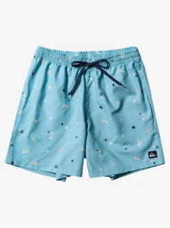 Mens Quiksilver Boardshorts|Everyday Mix 17" Volleys