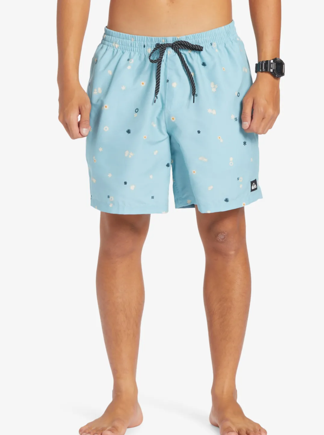 Mens Quiksilver Boardshorts|Everyday Mix 17" Volleys