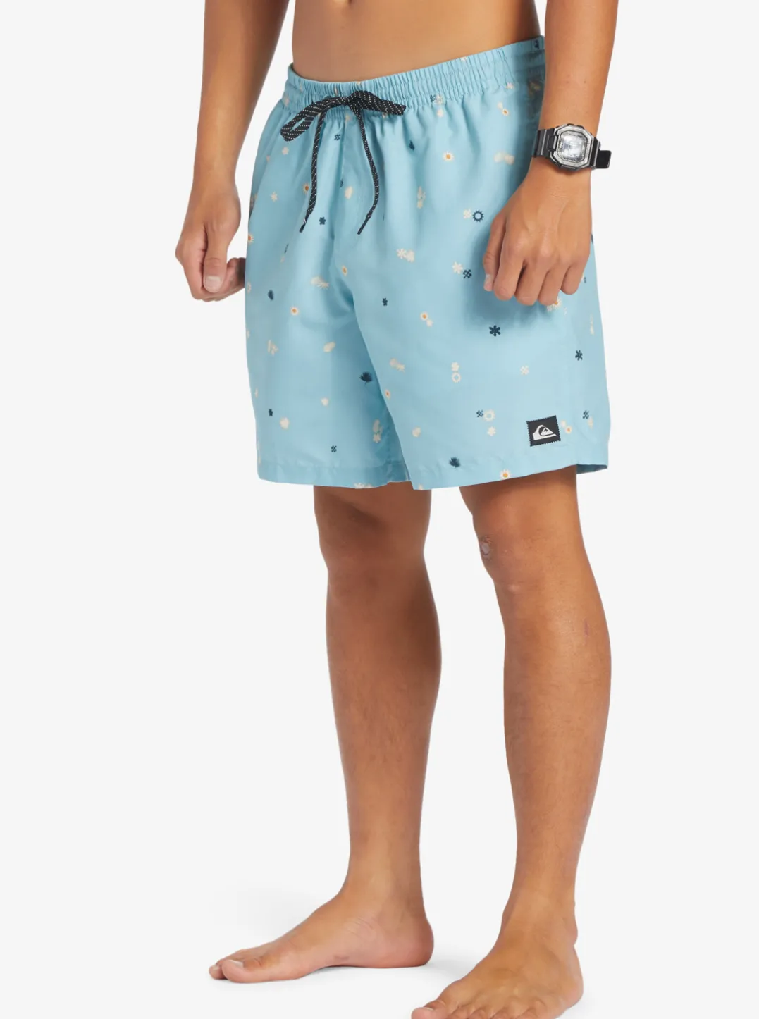 Mens Quiksilver Boardshorts|Everyday Mix 17" Volleys