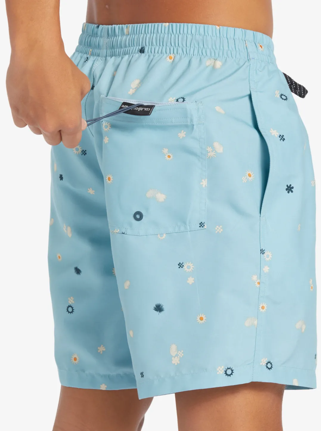 Mens Quiksilver Boardshorts|Everyday Mix 17" Volleys