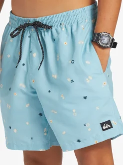 Mens Quiksilver Boardshorts|Everyday Mix 17