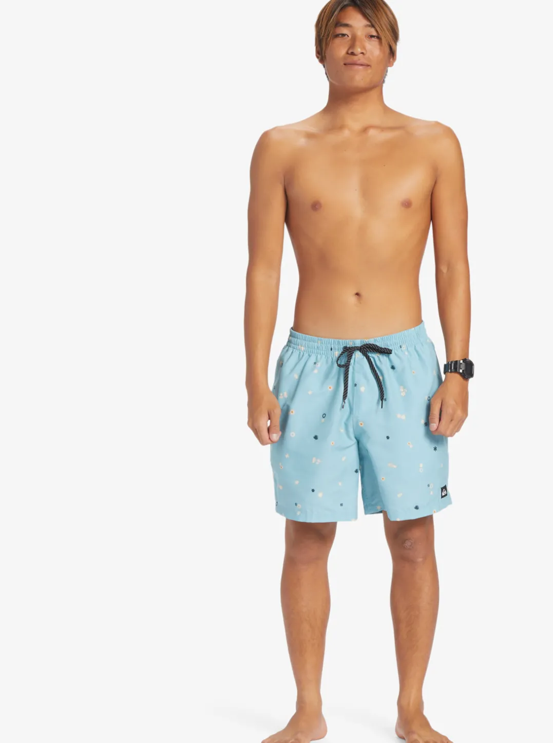 Mens Quiksilver Boardshorts|Everyday Mix 17" Volleys