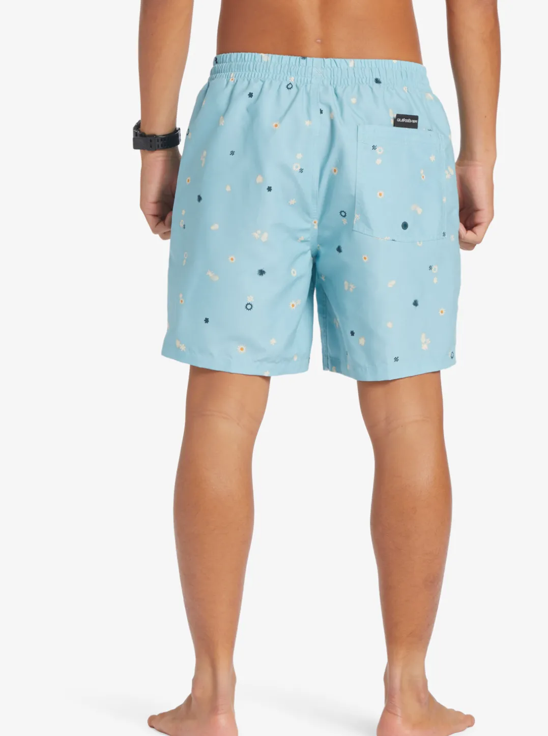 Mens Quiksilver Boardshorts|Everyday Mix 17" Volleys