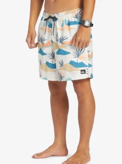 Mens Quiksilver Boardshorts|Everyday Mix 17
