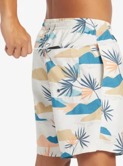 Mens Quiksilver Boardshorts|Everyday Mix 17