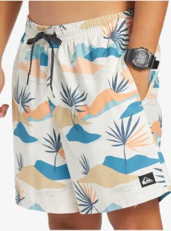 Mens Quiksilver Boardshorts|Everyday Mix 17