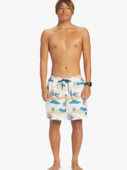 Mens Quiksilver Boardshorts|Everyday Mix 17