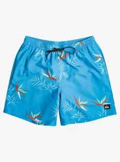 Mens Quiksilver Boardshorts|Everyday Mix 17" Volleys