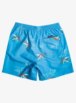 Mens Quiksilver Boardshorts|Everyday Mix 17" Volleys