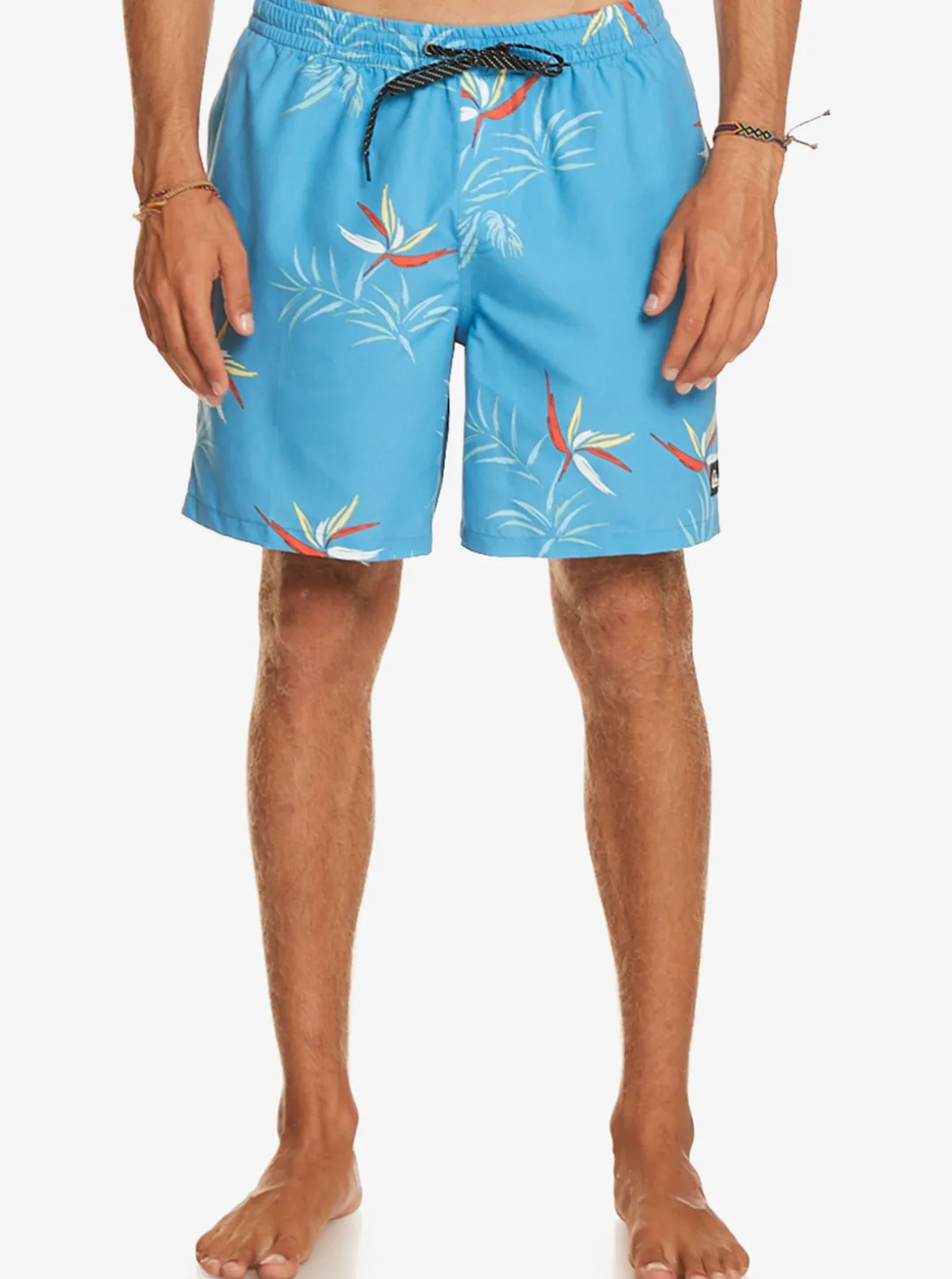 Mens Quiksilver Boardshorts|Everyday Mix 17" Volleys