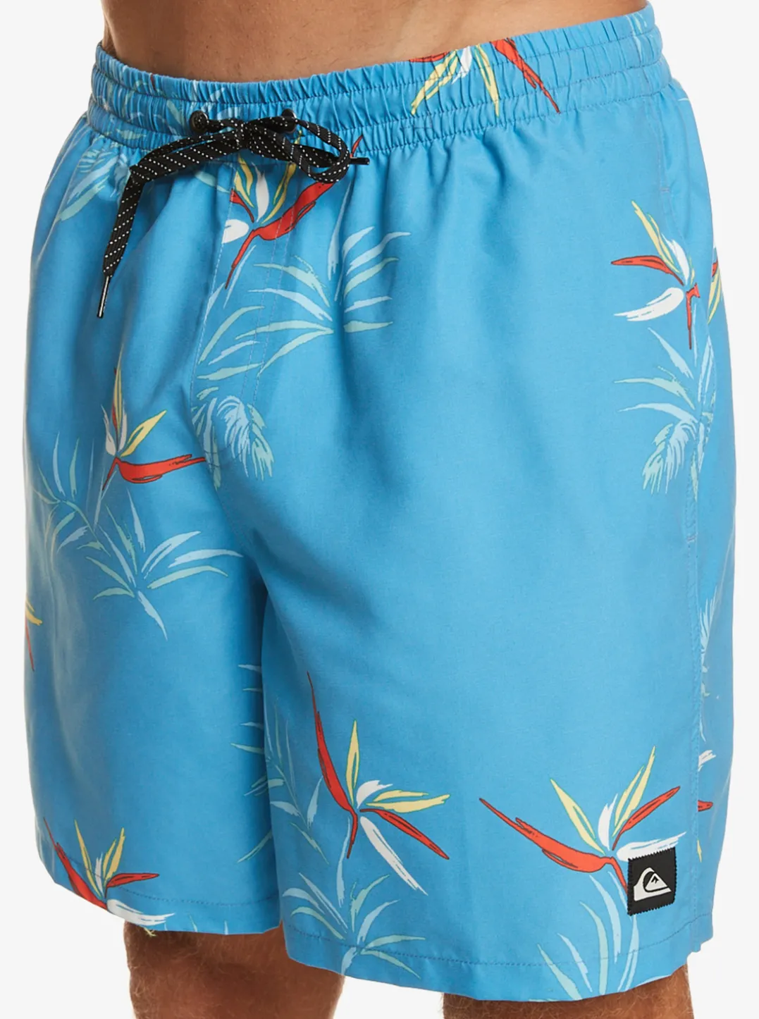 Mens Quiksilver Boardshorts|Everyday Mix 17" Volleys