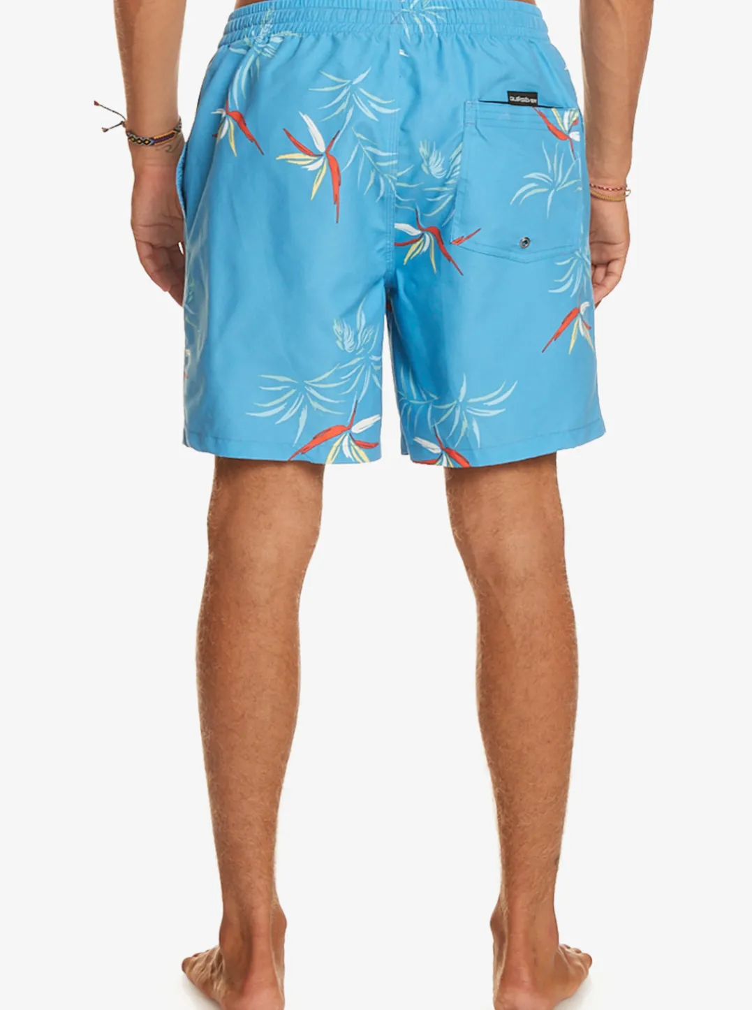 Mens Quiksilver Boardshorts|Everyday Mix 17" Volleys