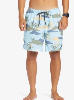 Mens Quiksilver Boardshorts|Everyday Mix 17
