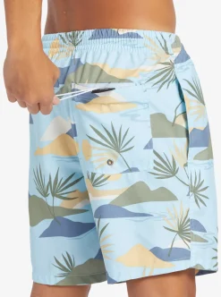 Mens Quiksilver Boardshorts|Everyday Mix 17
