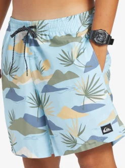 Mens Quiksilver Boardshorts|Everyday Mix 17