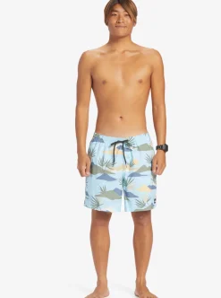 Mens Quiksilver Boardshorts|Everyday Mix 17