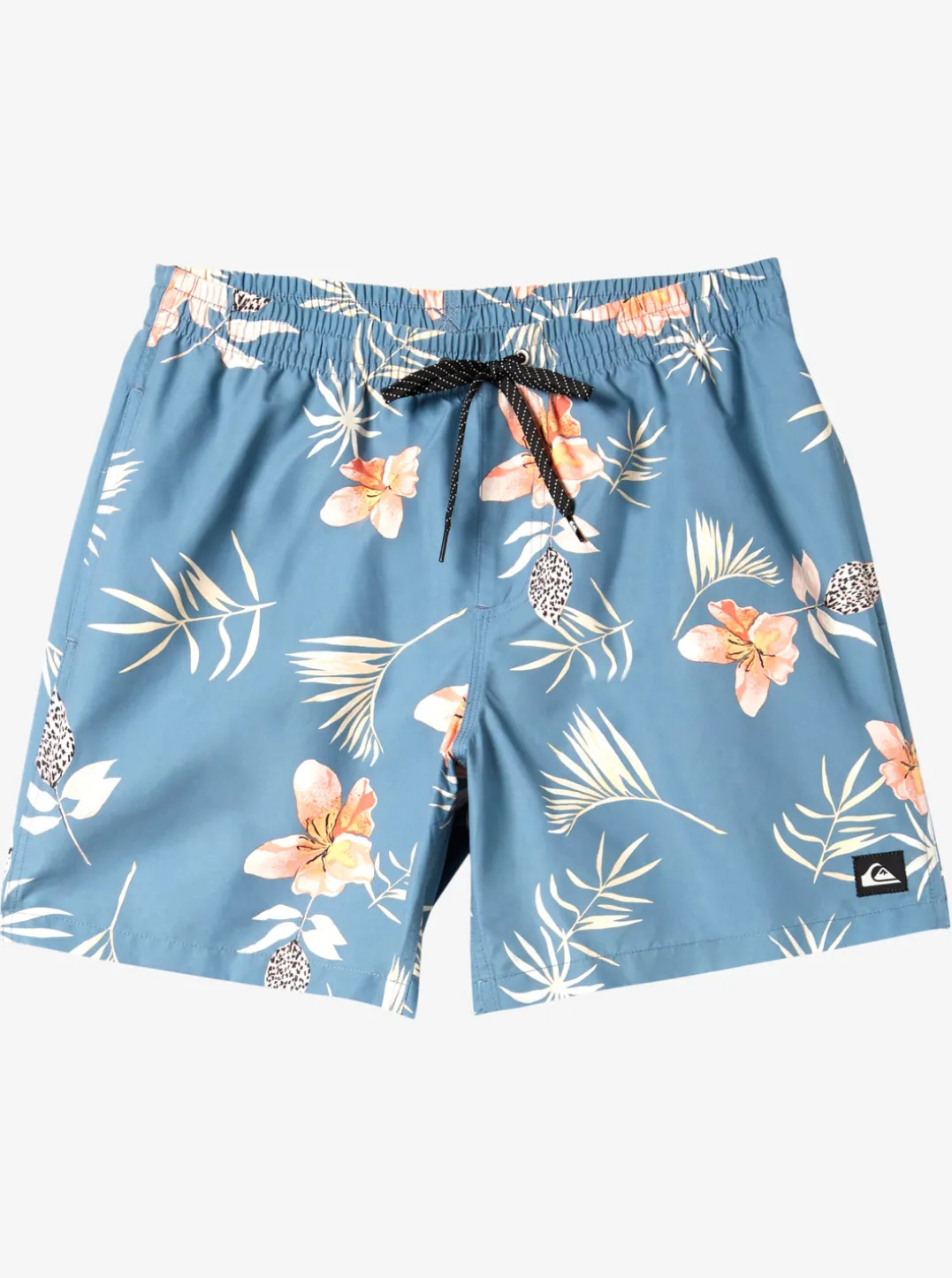 Mens Quiksilver Boardshorts|Everyday Mix 17" Volleys