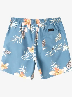 Mens Quiksilver Boardshorts|Everyday Mix 17" Volleys