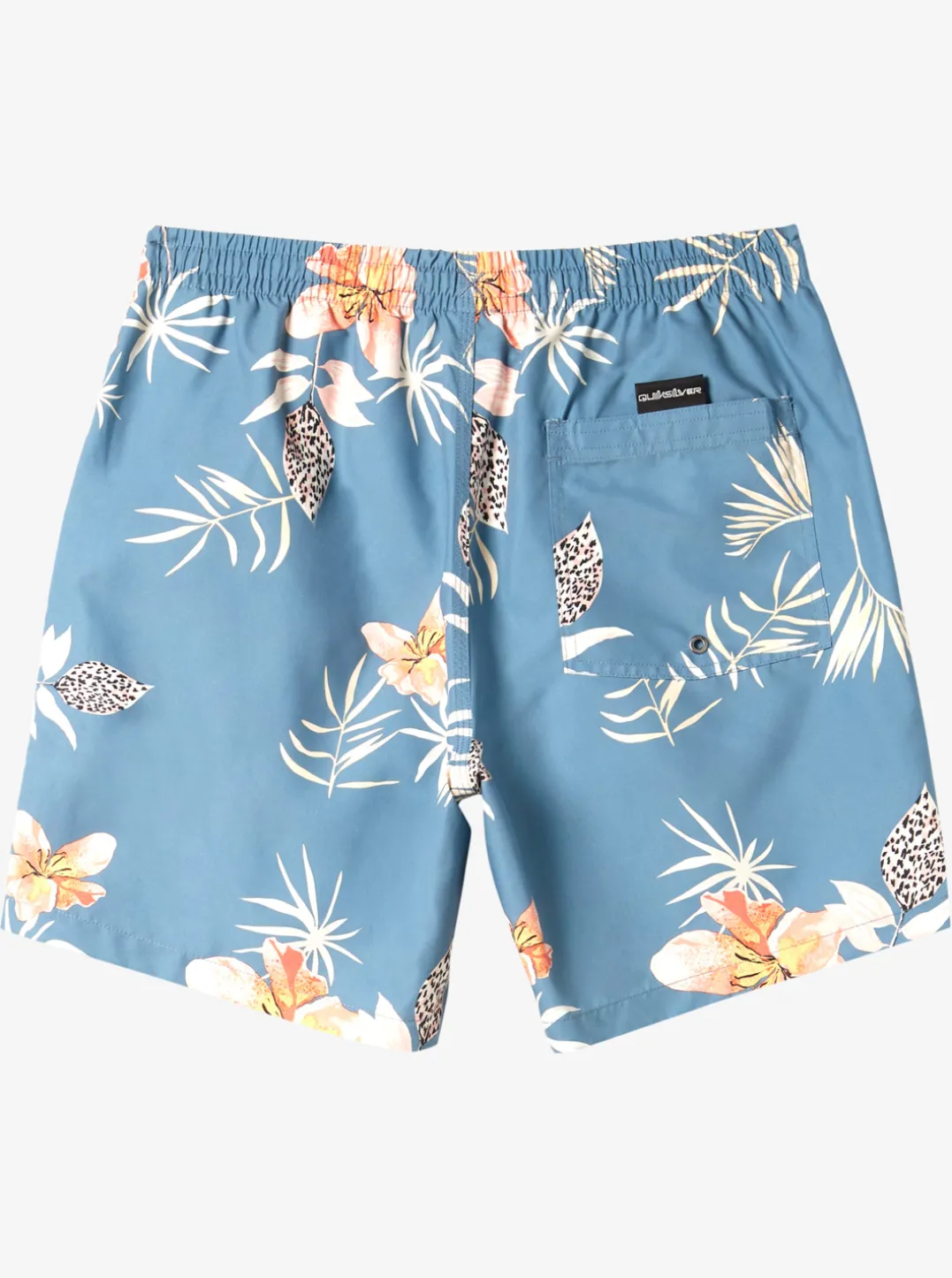 Mens Quiksilver Boardshorts|Everyday Mix 17" Volleys