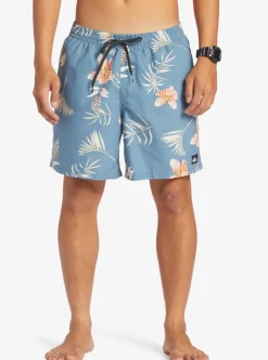 Mens Quiksilver Boardshorts|Everyday Mix 17
