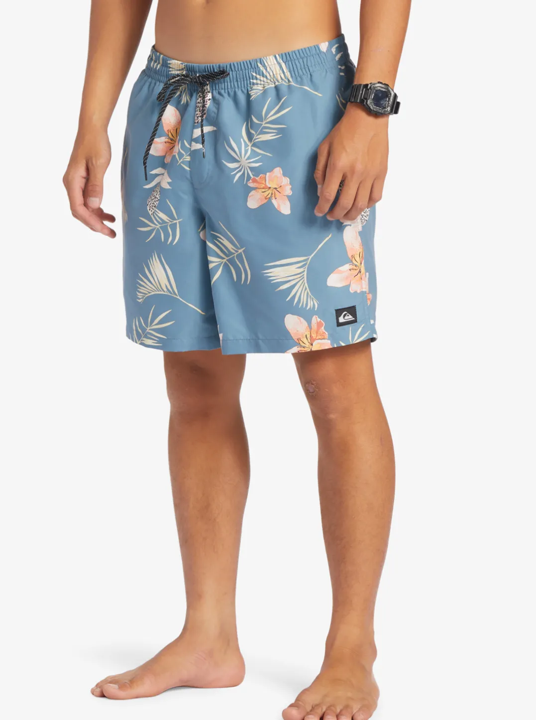 Mens Quiksilver Boardshorts|Everyday Mix 17" Volleys