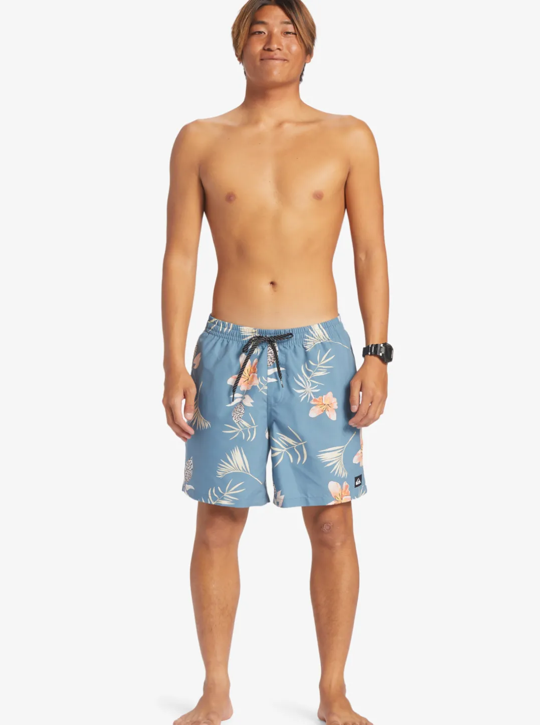 Mens Quiksilver Boardshorts|Everyday Mix 17" Volleys