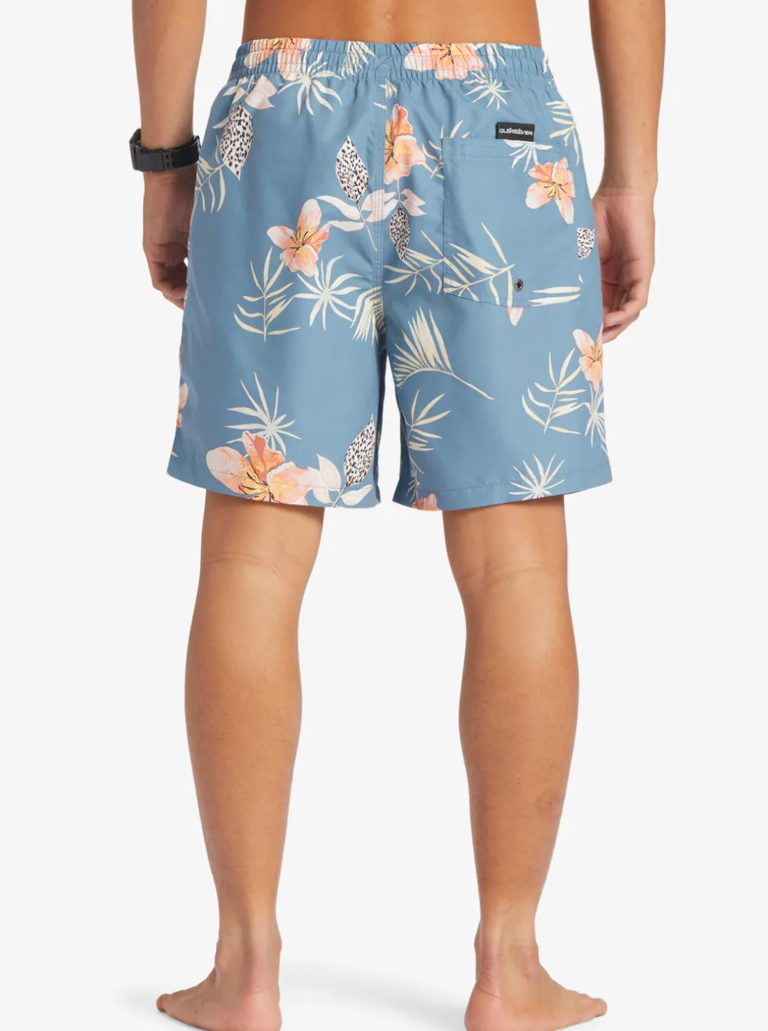 Mens Quiksilver Boardshorts|Everyday Mix 17" Volleys
