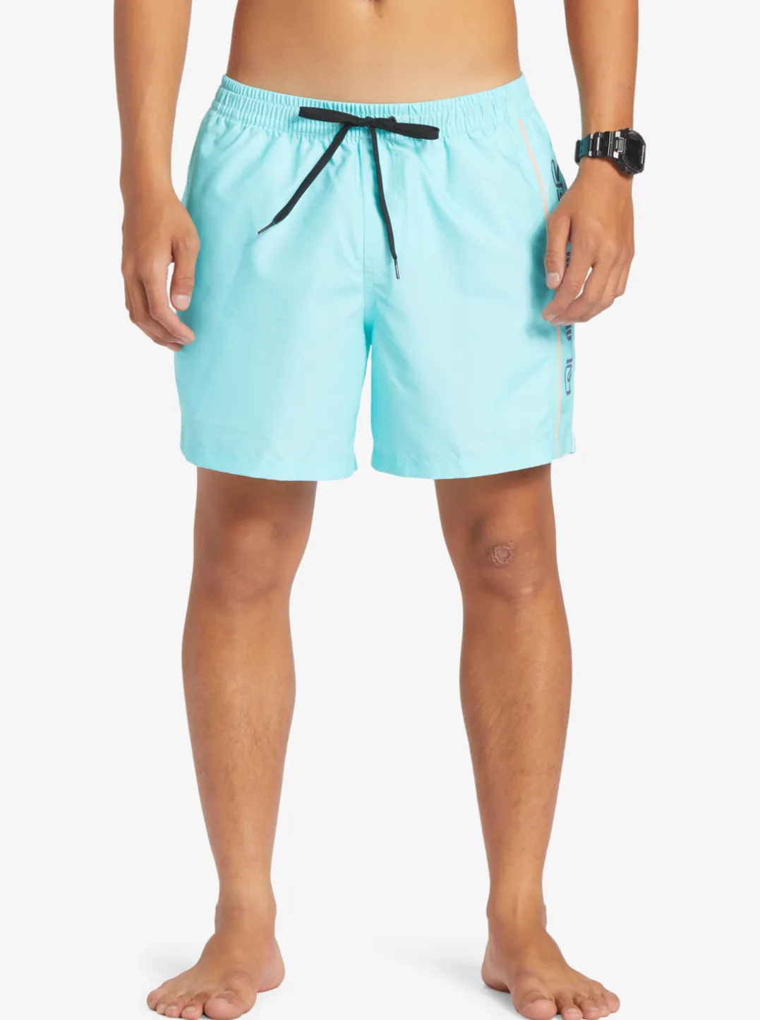 Mens Quiksilver Elastic Waist|Everyday Vert 16" Volleys