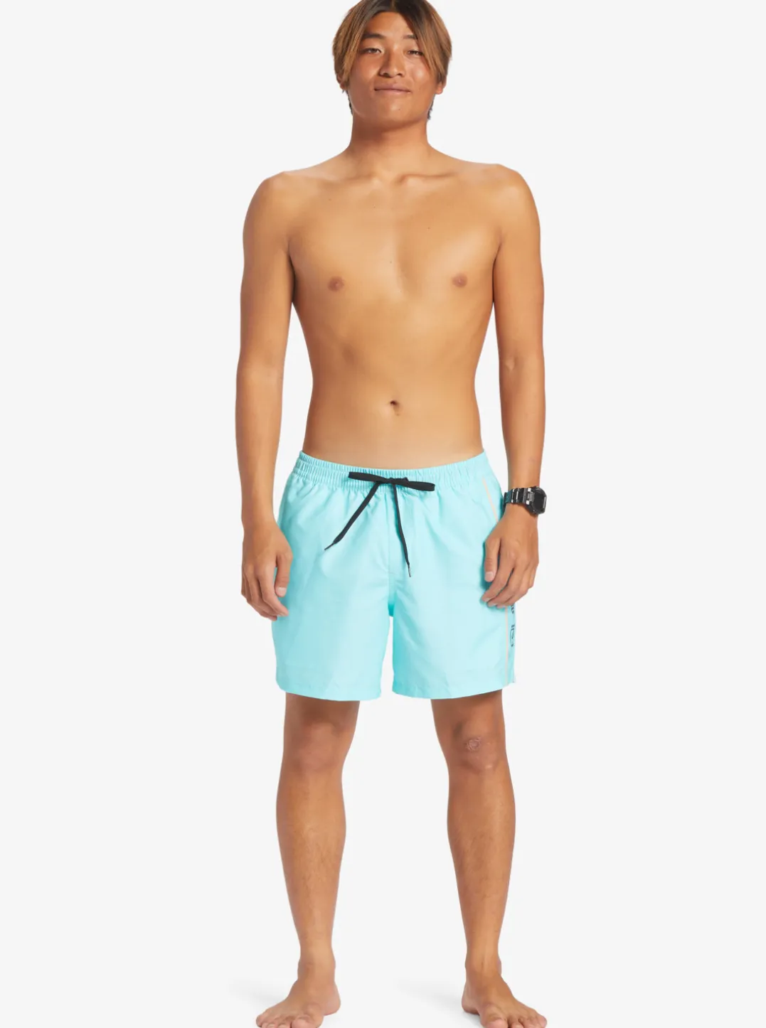 Mens Quiksilver Elastic Waist|Everyday Vert 16" Volleys