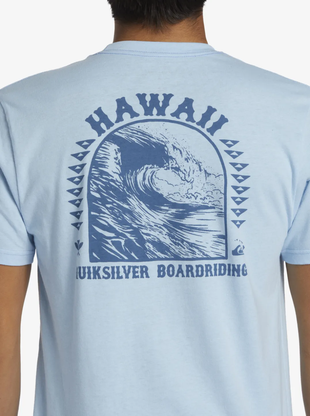 Mens Quiksilver Tees|Hi Natural Resources T-Shirt