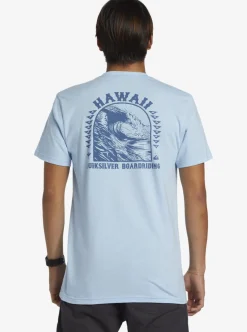 Mens Quiksilver Tees|Hi Natural Resources T-Shirt