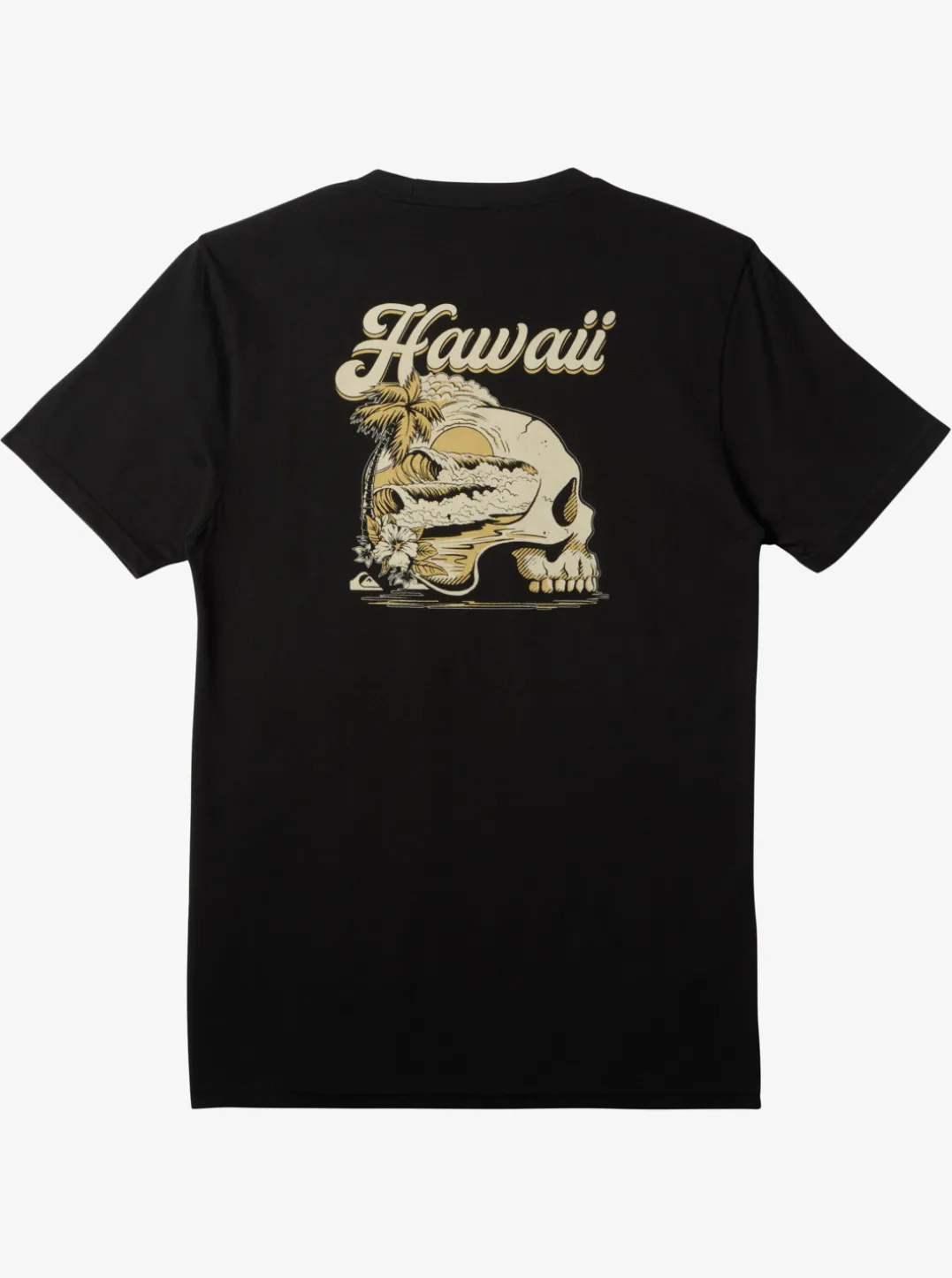 Mens Quiksilver Tees|Hi Water On The Brain T-Shirt
