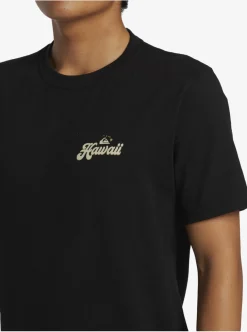 Mens Quiksilver Tees|Hi Water On The Brain T-Shirt