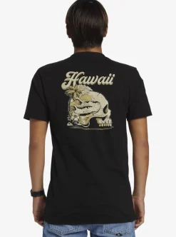 Mens Quiksilver Tees|Hi Water On The Brain T-Shirt
