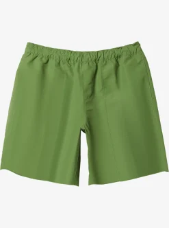 Mens Quiksilver Boardshorts|Made Better 18.5" Amphibian Boardshorts