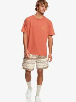 Mens Quiksilver Tees|Natural Vibe T-Shirt